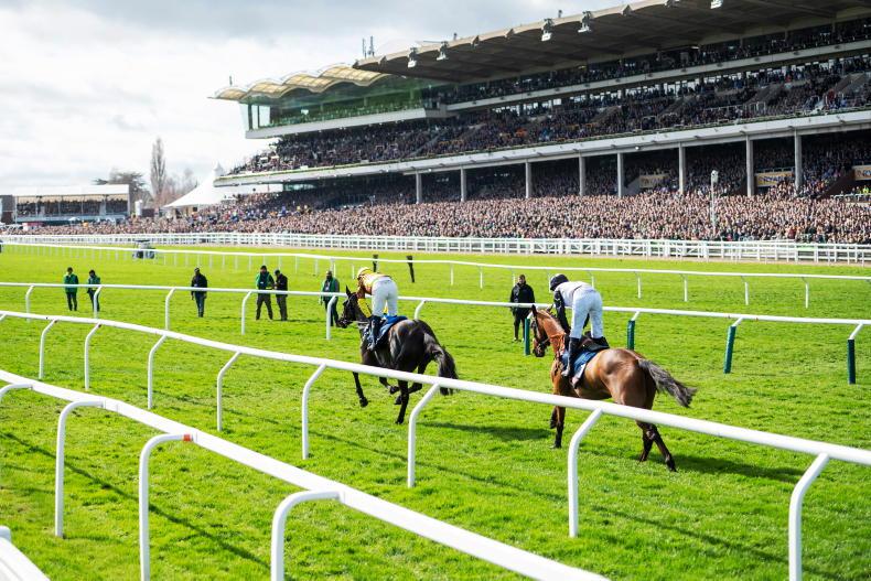 COMMENT: No five-day festival but Cheltenham still in trouble - Vimarsana News