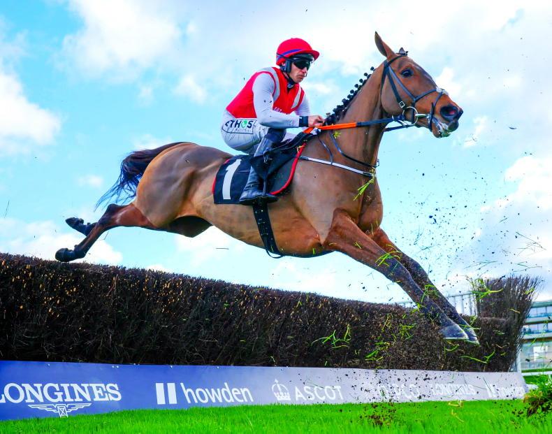 RACING CENTRAL: Murphy aiming to begin 2023 with a bang - Vimarsana News