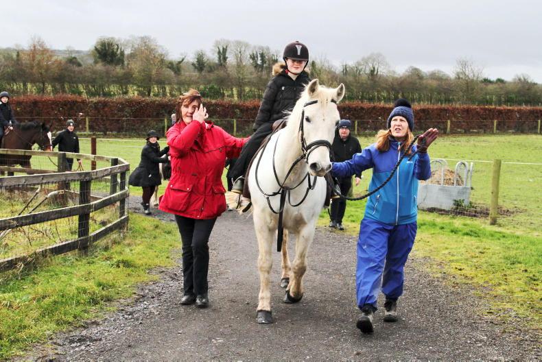 FARM Harnessing equine therapy 06 January 2023 Free
