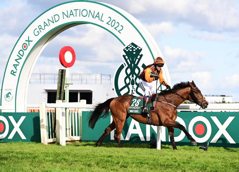 FEATURE: 'It still hasn't sunk in that we won the Grand National' - Vimarsana News