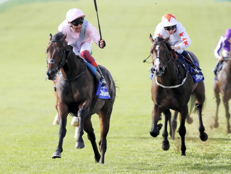 YEARLING PRICES: Was the market Too Darn Hot in 2022? - Vimarsana News