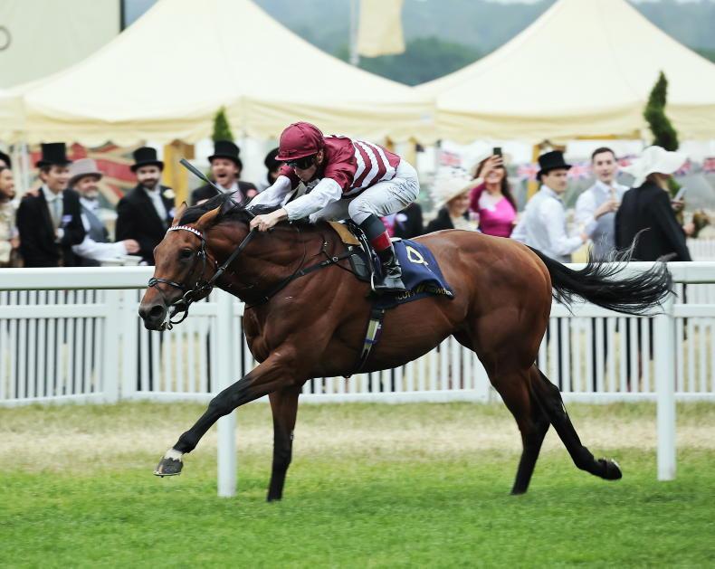SALES: Rare chance to buy a Galileo juvenile at Newmarket - Vimarsana News