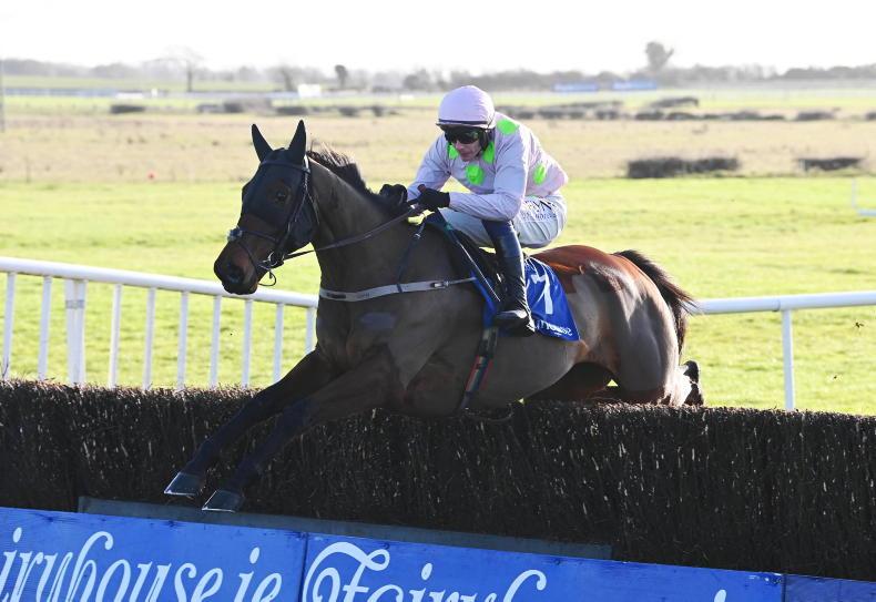 PUNCHESTOWN SUNDAY: Take Ha D'or to build on impressive chase debut 14 January 2023 Free - Vimarsana News