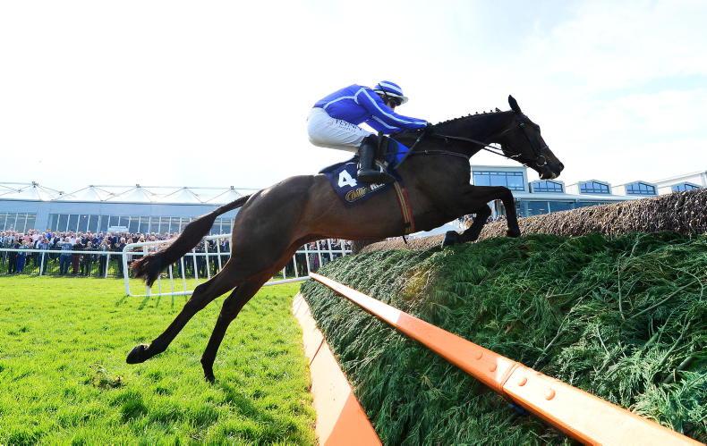 Energumene team keen to see Ascot race rescheduled - Vimarsana News