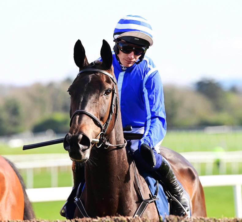 CHELTENHAM 2023: Energumene – Bloom or bust? - Vimarsana News