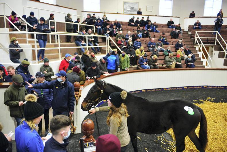 SALES: National Hunt yearlings with high-class pedigrees on offer - Vimarsana News