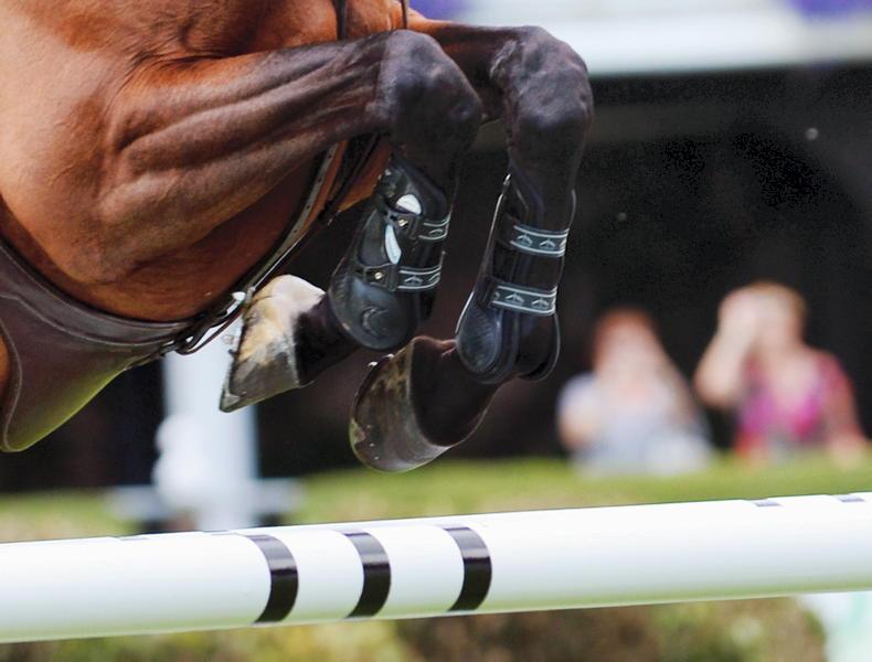 SHOW JUMPING: Sweetnam second in WEF Grand Prix - Vimarsana News