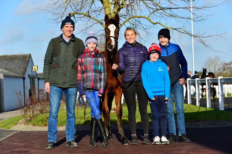 SALES: Pinhookers zone in on yearlings by fashionable sires - Vimarsana News