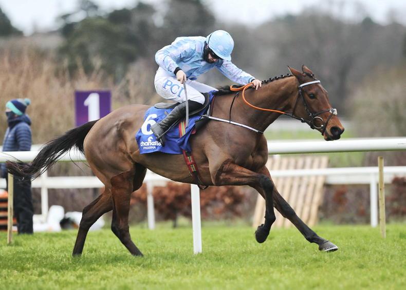 IRISH CHAMPION HURDLE: Keep the faith with Honeysuckle to make it four - Vimarsana News