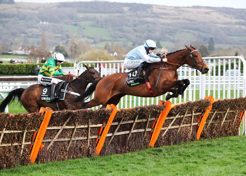 Honeysuckle 2/1 for final Cheltenham success - Vimarsana News
