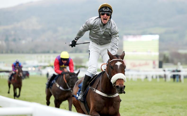 Gold Tweet will run in Stayers' Hurdle - Vimarsana News