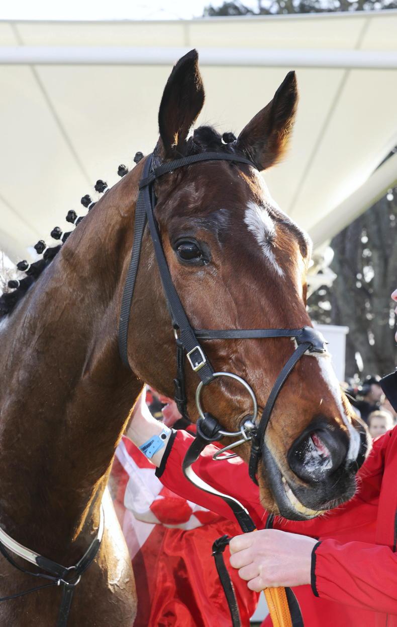 BREEDING INSIGHTS: Mighty Potter is mightily impressive - Vimarsana News