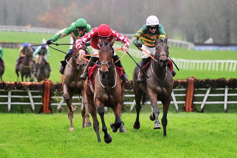 HORSES TO FOLLOW: 'He could be a big player in the Martin Pipe at Cheltenham' - Vimarsana News