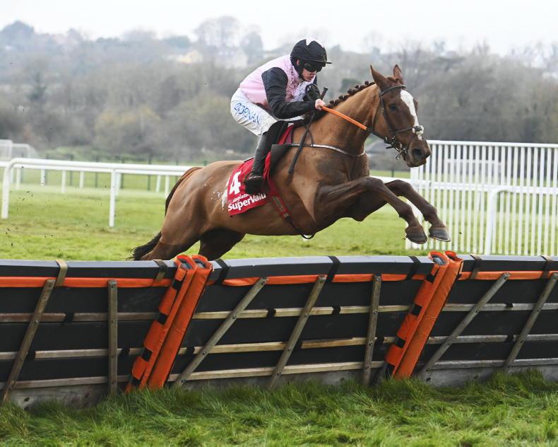 Hiddenvalley Lake puts Festival hopes on line at Clonmel - Vimarsana News