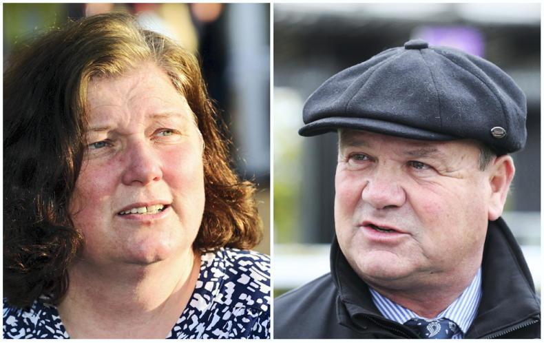 Tracey Collins and Michael Halford join forces - Vimarsana News