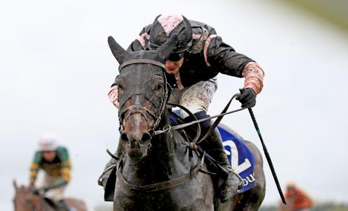 Brandy back in action at Punchestown - Vimarsana News