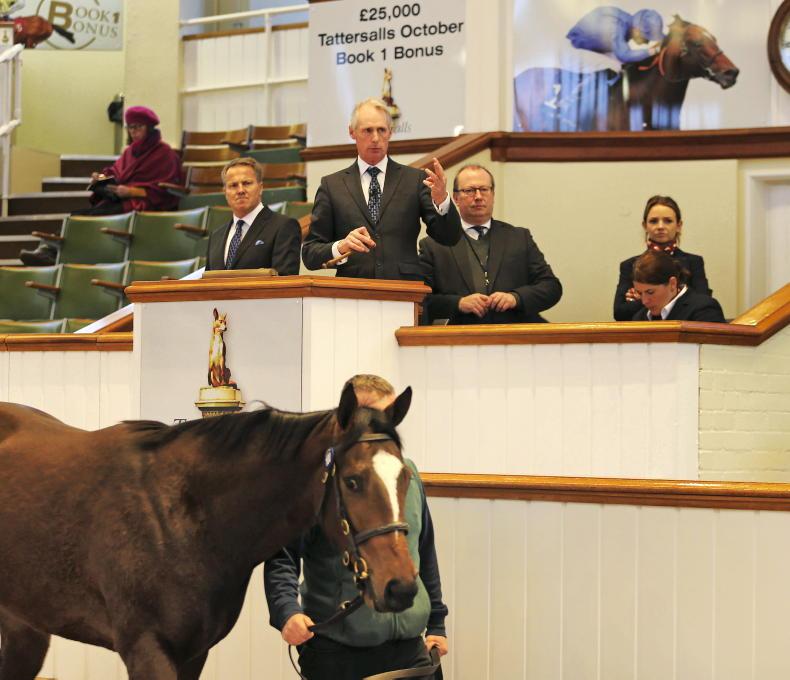 SALES: Over £370,000 raised by online charity auction of stallion nominations - Vimarsana News