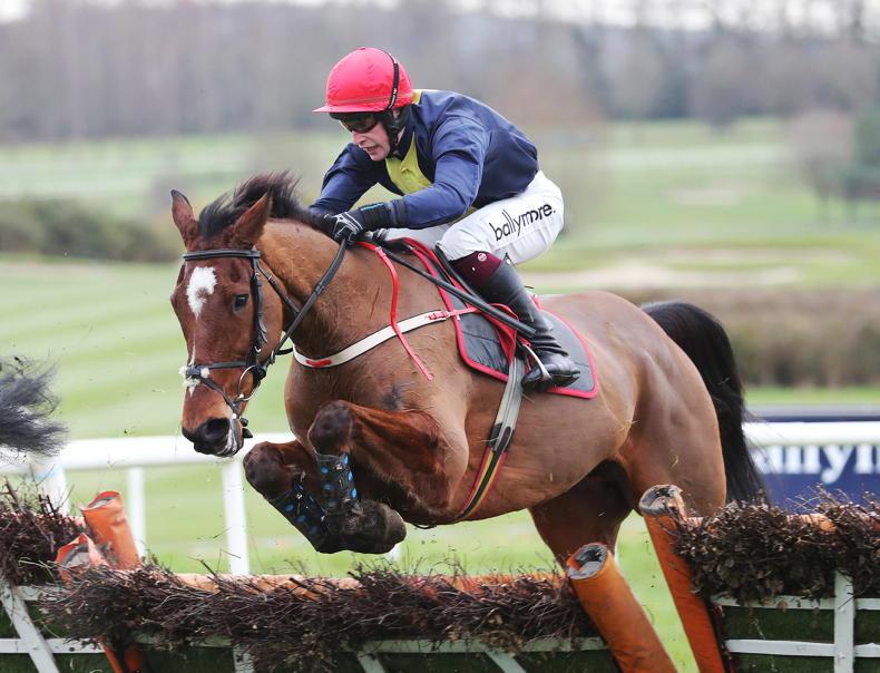 RACING CENTRAL: A big day for Poet et al in Bobbyjo - Vimarsana News