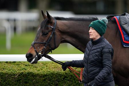 Henderson eager to maximise Festival firepower - Vimarsana News