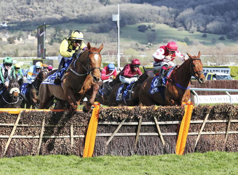 RACING CENTRAL: Fowler targeting big bonus with Kelso challenger Mustard - Vimarsana News