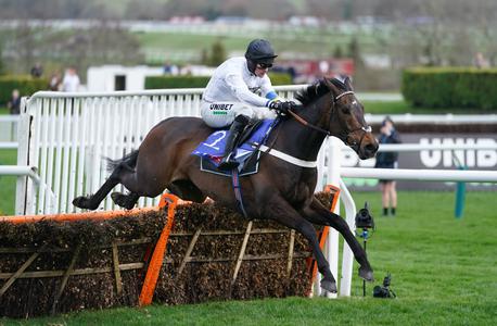 Constitution Hill ready to peak in Champion Hurdle assignment - Vimarsana News