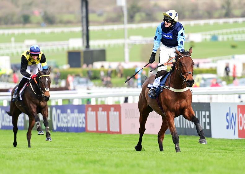 CHELTENHAM TIPS: Your free guide to day two of the Festival - Vimarsana News