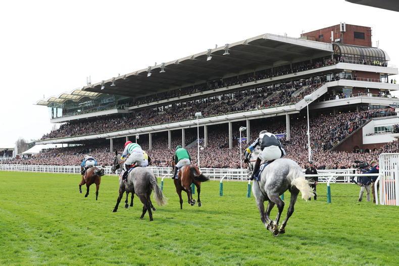 CHELTENHAM WEDNESDAY: How the Land lies for day two selections - Vimarsana News