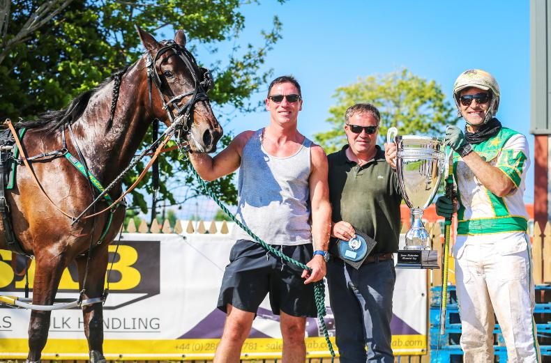HARNESS RACING: Murdock brothers will have horses well prepped - Vimarsana News