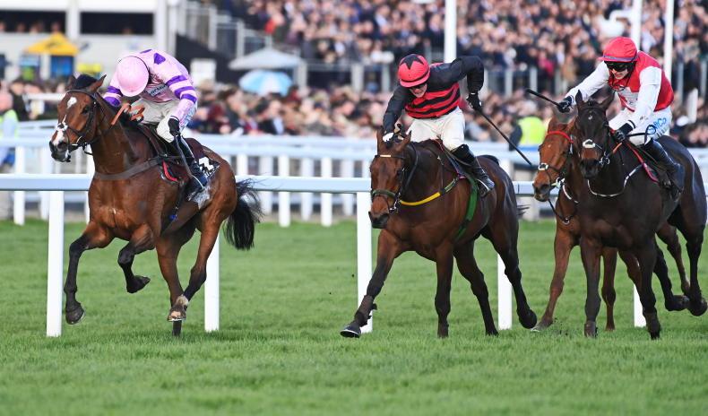 CHELTENHAM FESTIVAL: Fay keeps them all Away to claim Albert Bartlett - Vimarsana News
