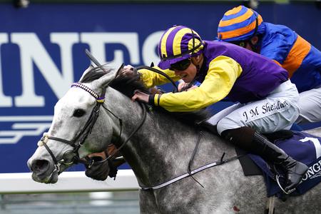 Princess Zoe poised for Easter assignment at Fairyhouse - Vimarsana News
