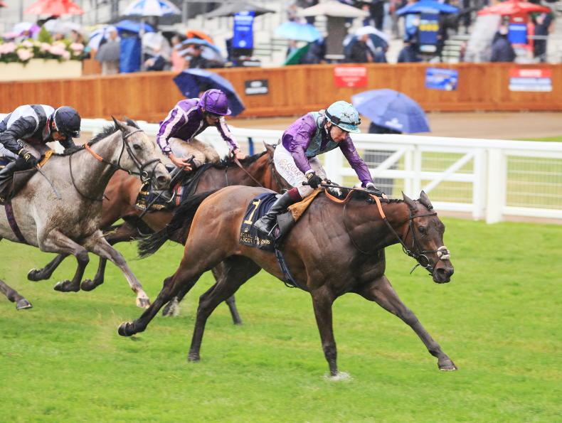 Talking Horses: Andrew Balding - Vimarsana News