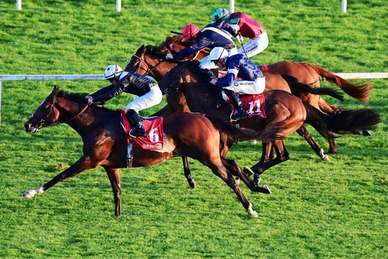NAAS SUNDAY: Promising Martinstown can lay down a marker in Devoy - Vimarsana News