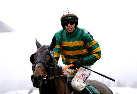 Next stop Aintree for Stayers Hurdle hero Sire Du Berlais - Vimarsana News