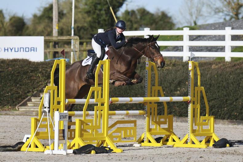 SHOW JUMPING: Corky Rocks delivers for Walsh - Vimarsana News