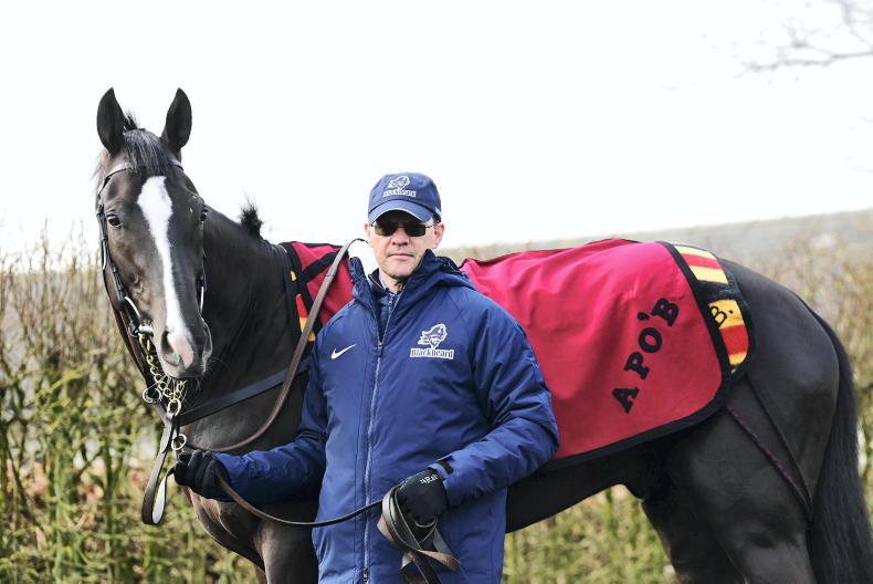 TALKING TRAINER - AIDAN O'BRIEN: 'She goes well and we've not seen her best yet' - Vimarsana News