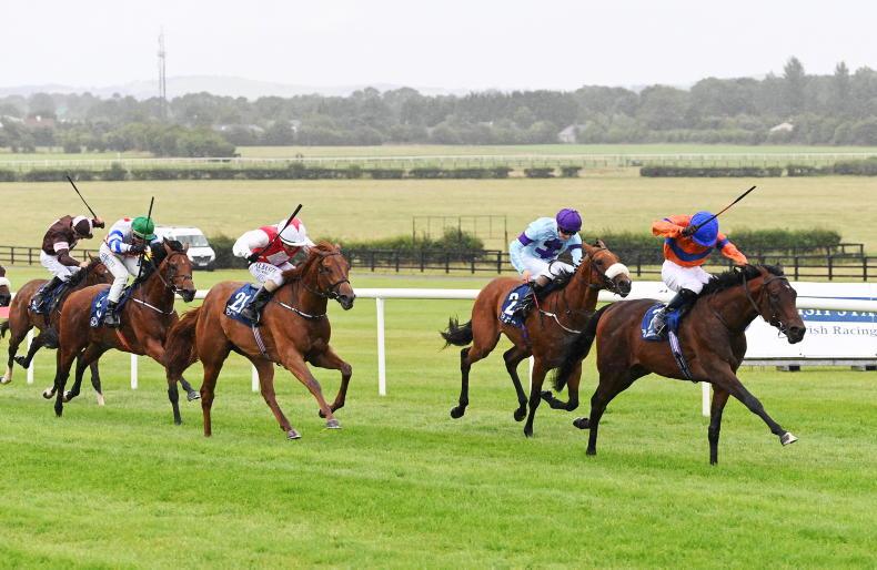 Big entries and big announcements for Irish EBF Ballyhane Stakes Day at Naas - Vimarsana News
