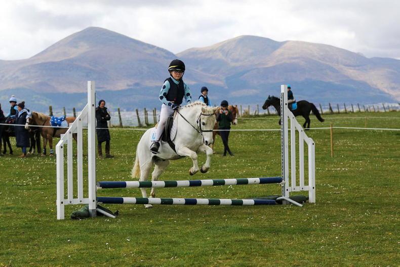PONY TALES: Cracking family day at Tyrella - Vimarsana News