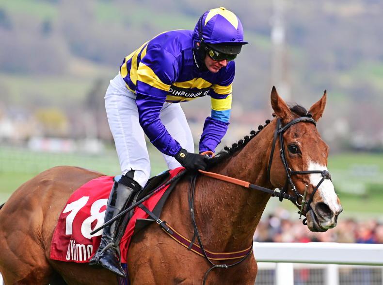 RACING CENTRAL: Russell's Rambler has sound claims in 10th 'Plastic' National 14 April 2023 Free - Vimarsana News