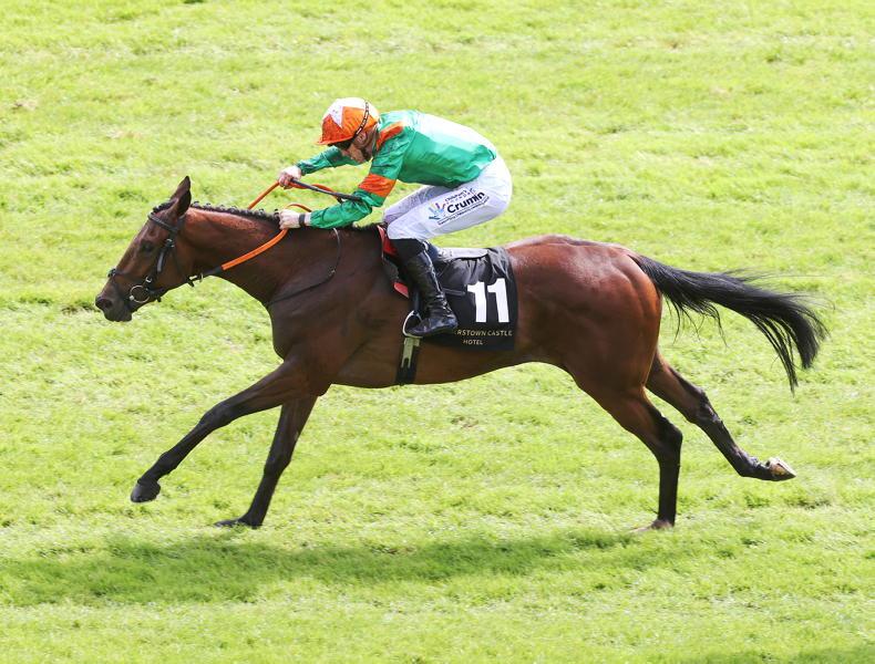 CURRAGH SUNDAY: Back Belief to turn the tables in Alleged Stakes - Vimarsana News