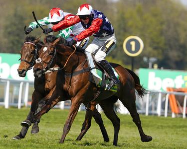 Light leads 31 contenders for Scottish National honours - Vimarsana News