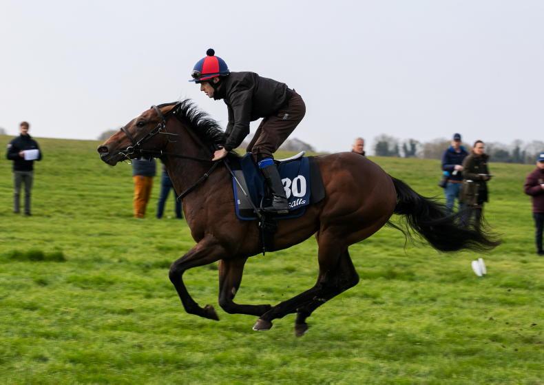 SALES: Roger Varian to train 360,000gns Munnings colt - Vimarsana News
