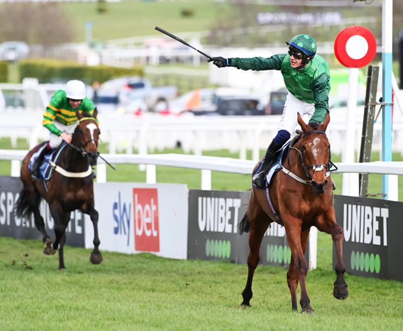 PUNCHESTOWN FESTIVAL: WILLIE MULLINS - 'He looks like he could be the real deal' - Vimarsana News