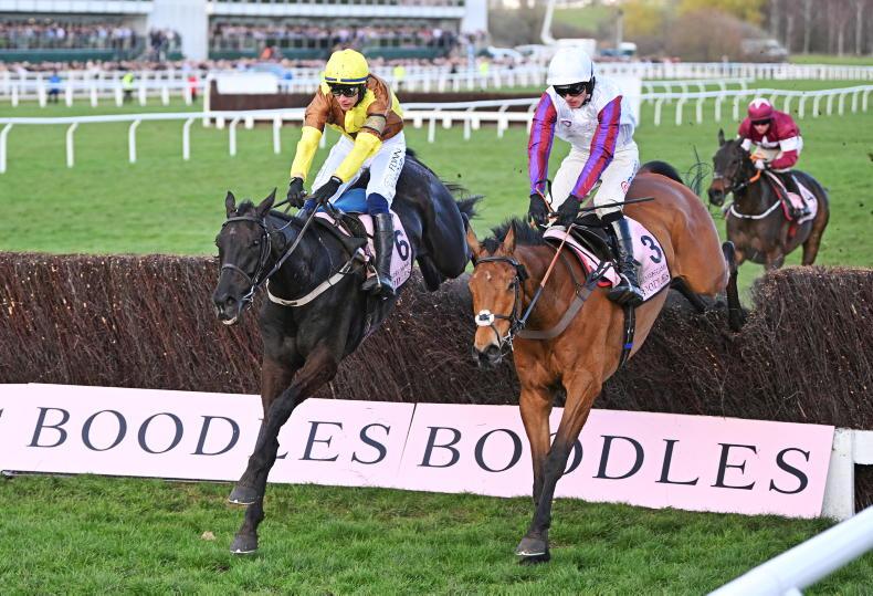 NEWS: HRI awaits BHA update on Bravemansgame's Punchestown Gold Cup eligibility - Vimarsana News