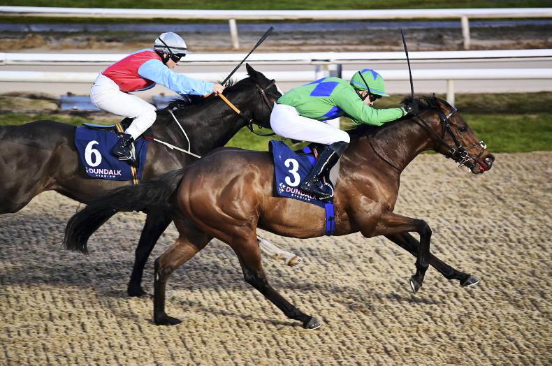 LIMERICK SATURDAY: Take Tosen to make his mark - Vimarsana News
