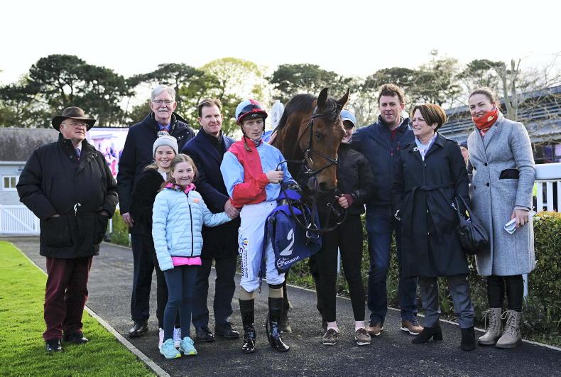 The Owner: Donal Spring of the Charlie Bit Me syndicate - Vimarsana News