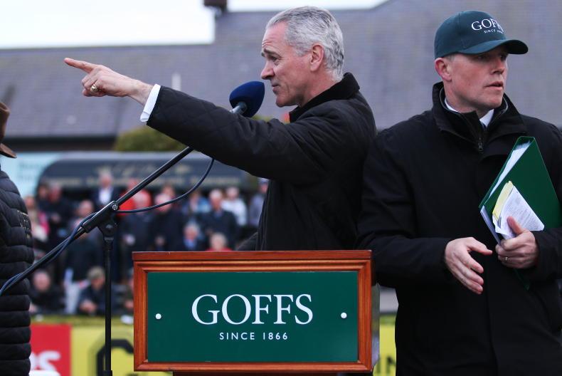 SALES: €500,000 paid for winning point-to-pointer at Punchestown - Vimarsana News
