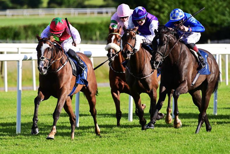 SLIGO SUNDAY: Progressive Dha Leath the one to beat in the Sligo feature - Vimarsana News