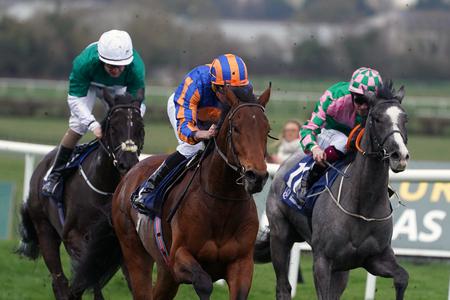 Aidan O'Brien: 'We're very happy with Paddington' - Vimarsana News