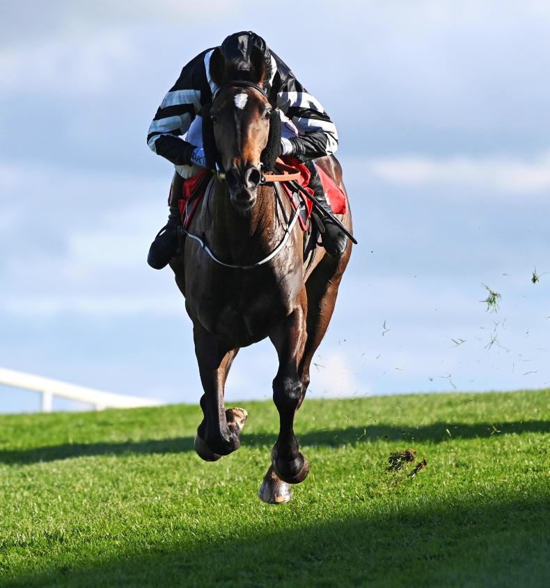 PONY TALES Punchestown win thrills Roche family 05 May 2023 Free