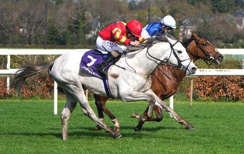 White Birch bidding for Derby Trial double - Vimarsana News